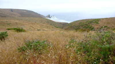 DSCF6569.JPG