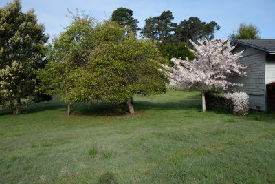 DSCF0130.JPG