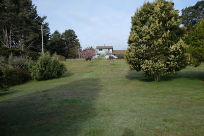 DSCF0131.JPG