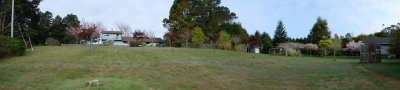 DSCF0133.JPG