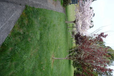 DSCF0139.JPG