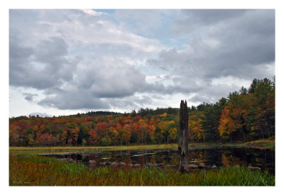 Fall Beaver Pond