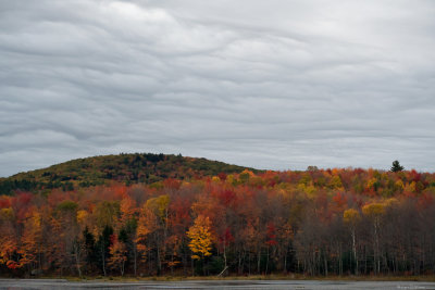 Lowering Sky