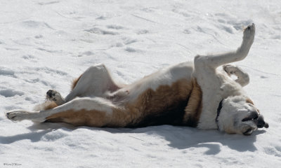 Sunbath