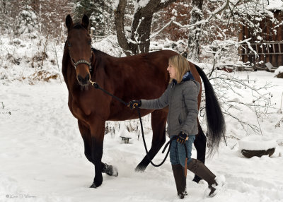 Stroll In the Snow