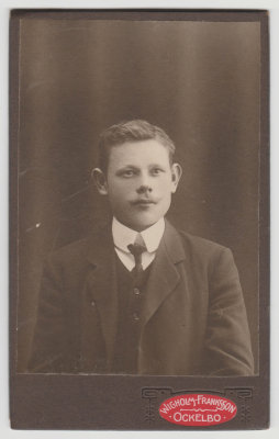 Young unknown man in Sweden, Ockelbo professional photo