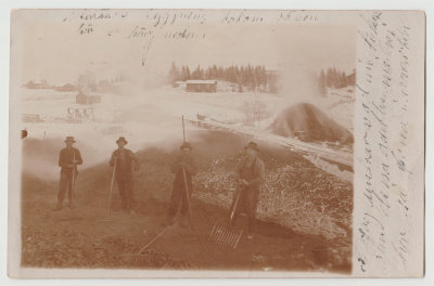 Four unknown men shoveling wood chips, swedish writing on back