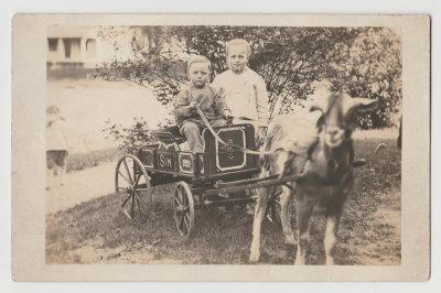 Katherine and Dave Oberg, goat and cart