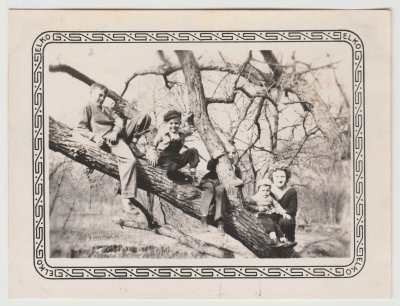 Helen Oberg and Van Fleet kids climbing tree