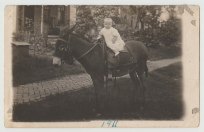 Katherine Oberg, 1 yr, on donkey, 1911