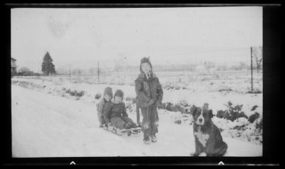 Richard, Leonard and John ? with sled and dog