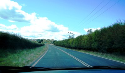 10-12 March 2020- 005 Lovely roads with hedegrows