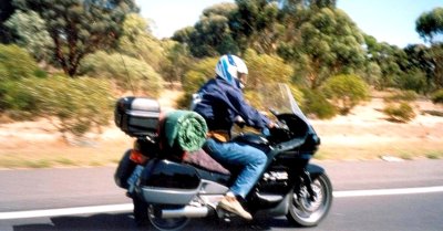 016-Ted to P.A at 43deg.C.jpg