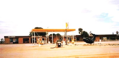 024-Big whale Nullabor.jpg