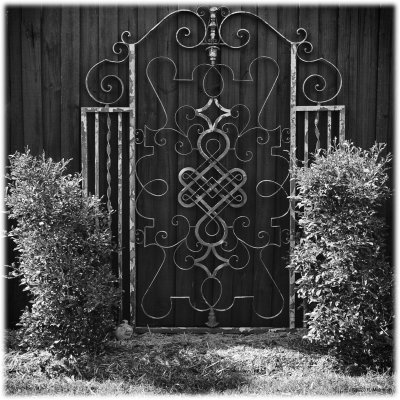 back fence