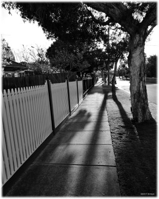 The Long Path