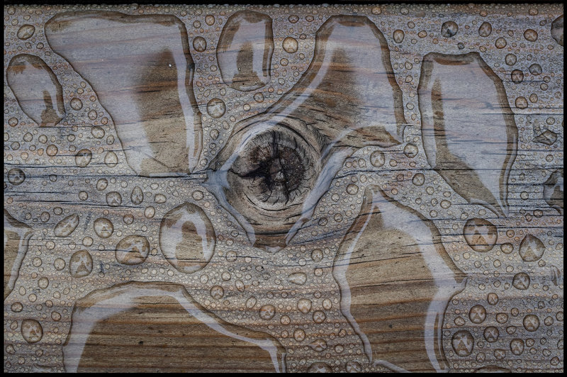 Wet wood