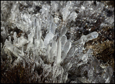 Ice formation after a very cold night near Nybro