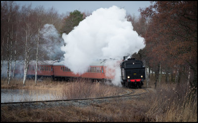 Steam Engine with train near Ekenssjn