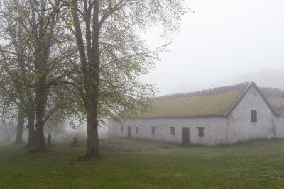 Nsby a foggy morning