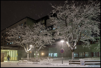 First real winter storm 2021 - Vxj hospital