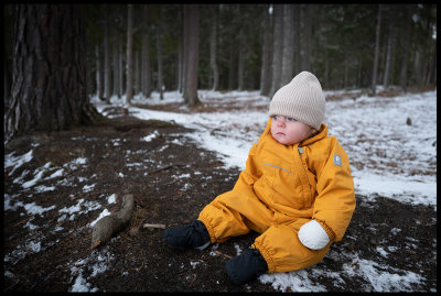 Loui near Östersund - Jämtland