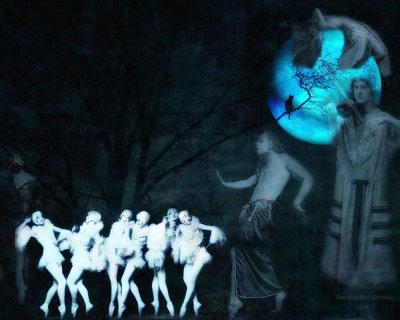 Dance by the light of the moon