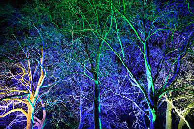 Winter Glow-32.jpg