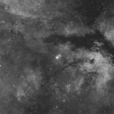 IC 1318 Sadr Region