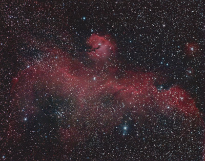 IC 2177 Seagull Nebula