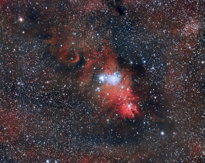 NGC 2264 The Cone Nebula, Christmas Tree Cluster & Foxfur Nebula