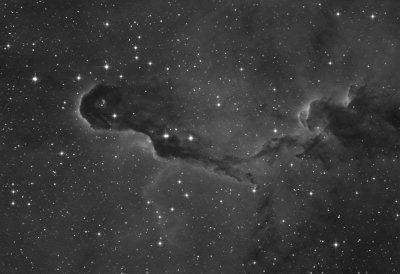 vdB142 - Elephant's Trunk Nebula