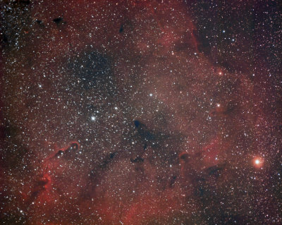 IC 1396 Cepheus Bubble & Elephant's Trunk Nebula