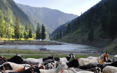 Neelum Valley Azad Kashmir