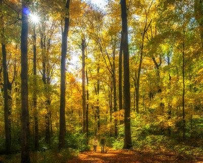 Bois de Belle rivire, Mirabel, Qubec