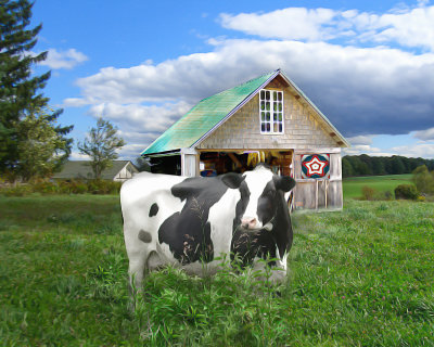cow-barn.jpg