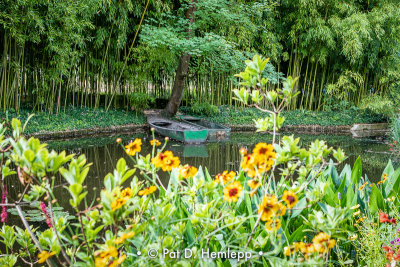 Boats in garden