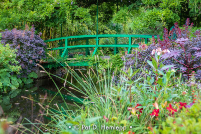 Bridge in garden