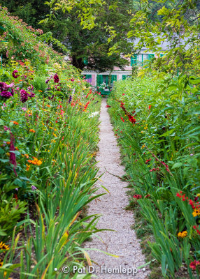 Path through garden