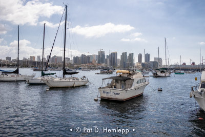 Boats in the bay