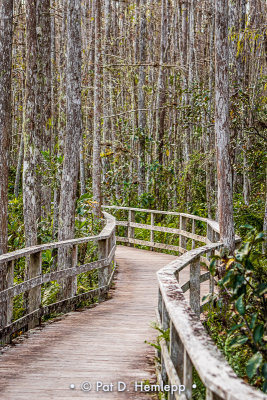 Boardwalk