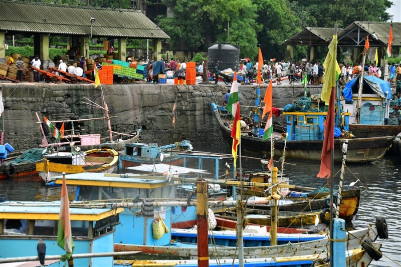 Busy docks - India_1_7582