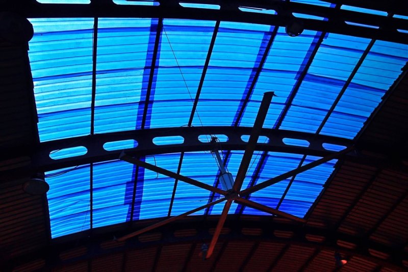 Sky light, Chatrapati Shivaji Terminus railway station - India_1_7729
