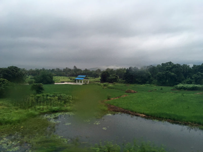Monsoon flooding - India 1 i4630