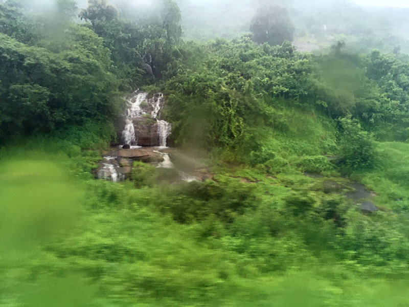 Monsoon stream- India 1 i4701