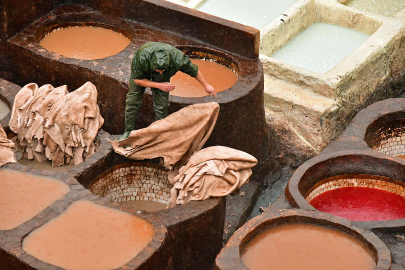 31 Leather tannery in Fez - Moroc 3116