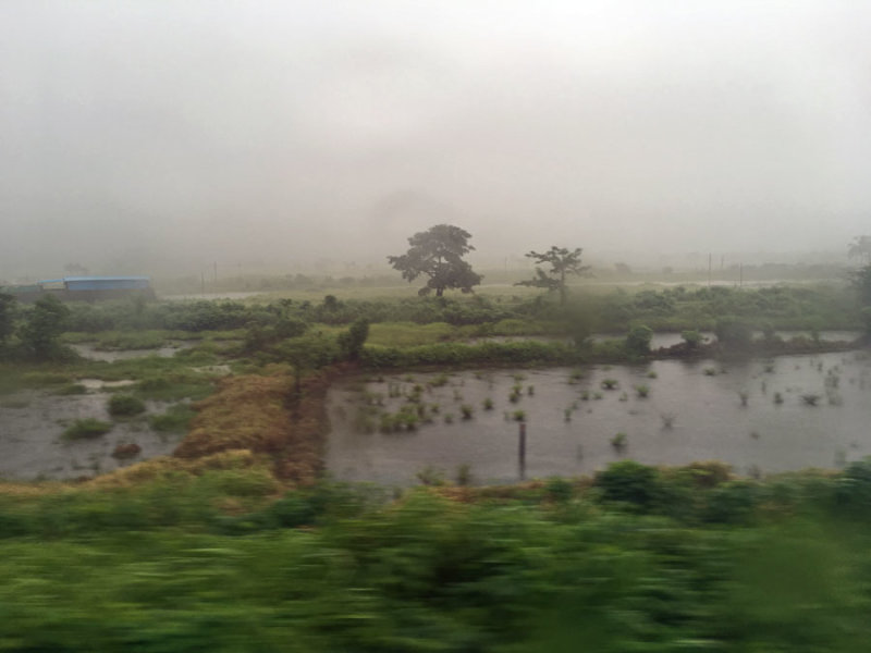 Monsoon flooding - India 1 i4707