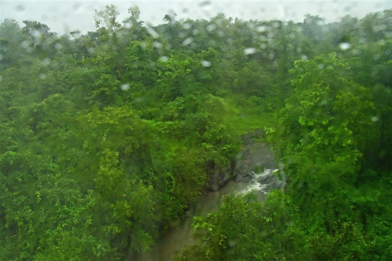 Monsoon - India 1 8263