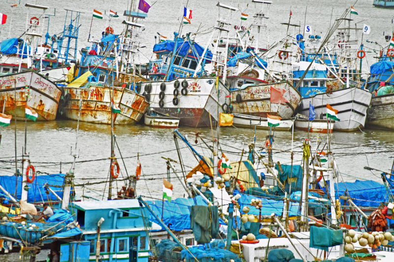 Fishing boats in Goa - India 1 8360