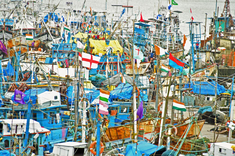 Fishing boats in Goa - India 1 8363